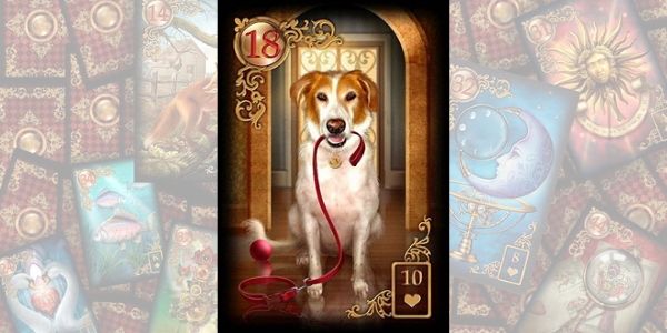 O Cão. Os significados da Carta 18 do Baralho Cigano.
